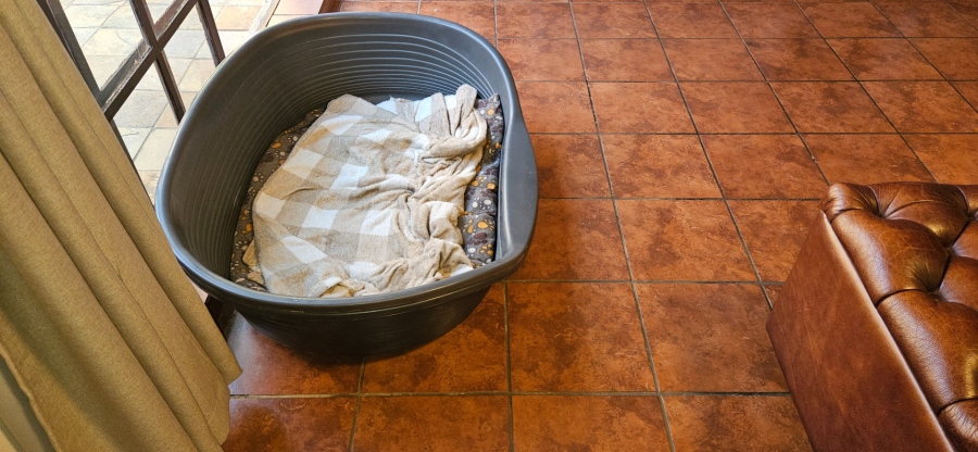 5 Bedroom Property for Sale in Langenhovenpark Free State